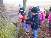 Výprava do lesa, krmení zvířátek